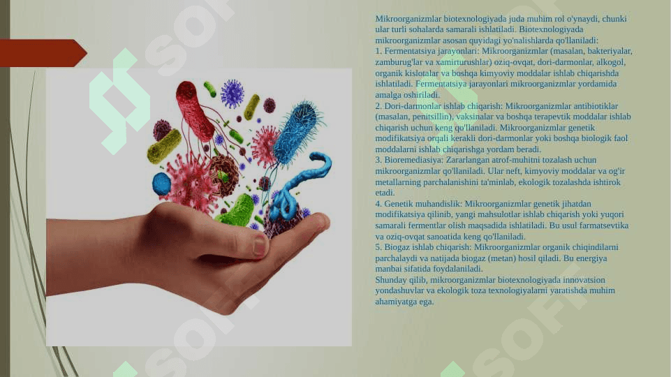 Mikroorganizmlarnin saqlash usullari 7