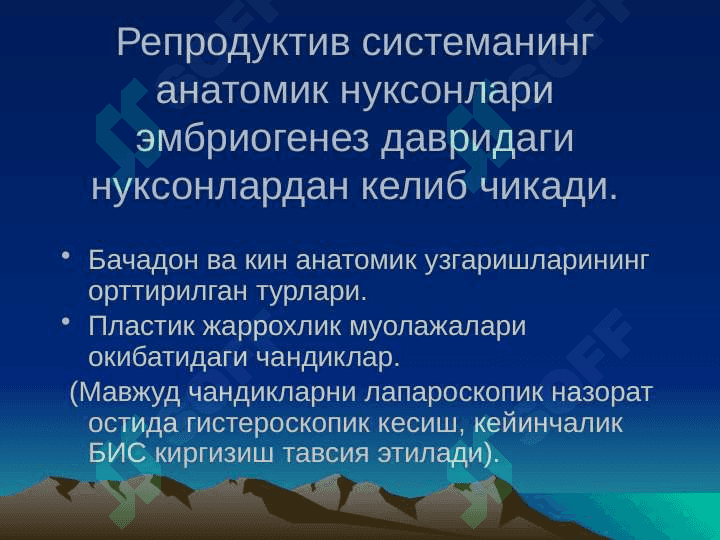 Bepushlik 7