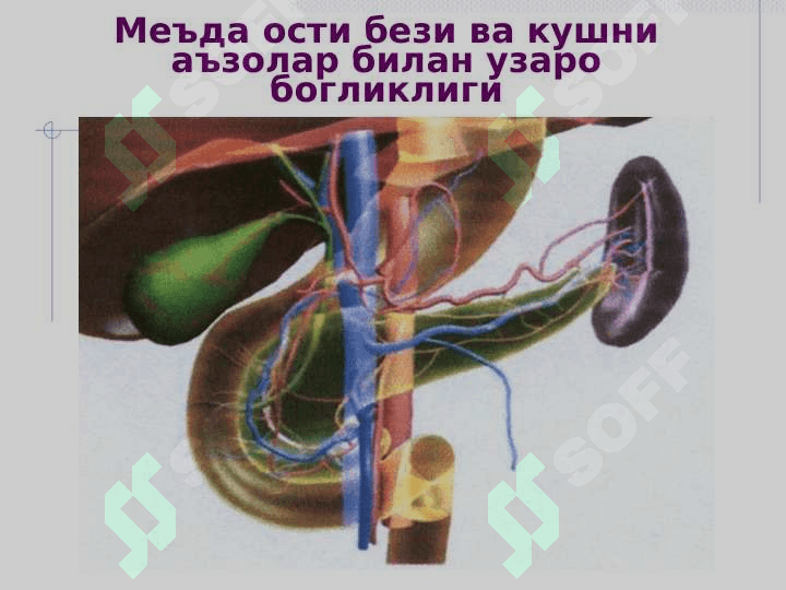 O`tkir pankreatit . Уткир панкреатит 8