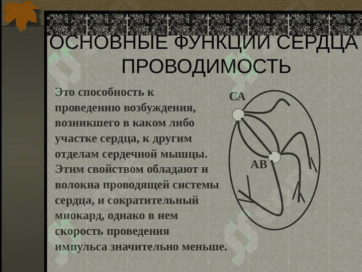 АРИТМИИ 7