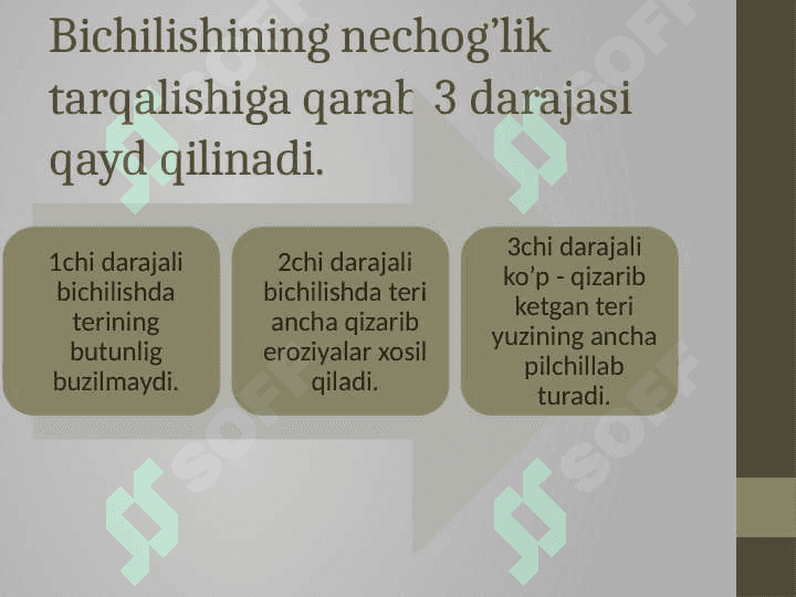 Terini bichilishi va pufakcha xosil bo’lishi Ekzema 4