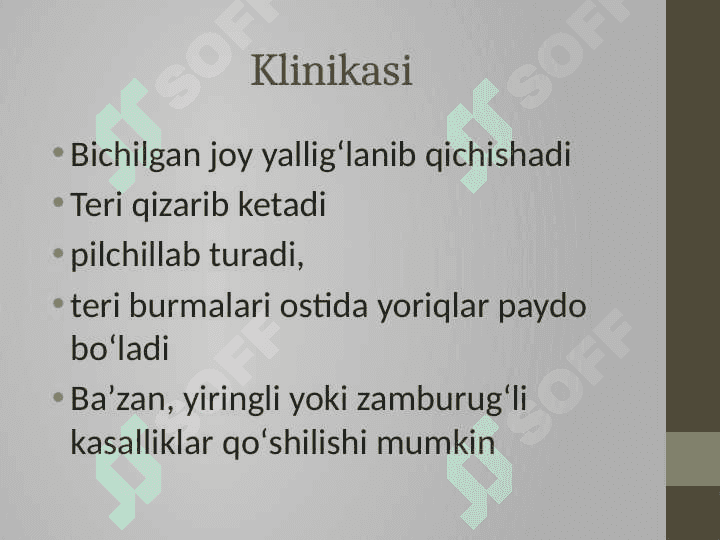 Terini bichilishi va pufakcha xosil bo’lishi Ekzema 6