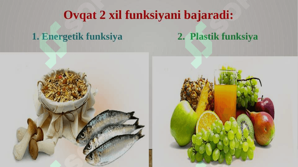 Energiya almashinuvi 2