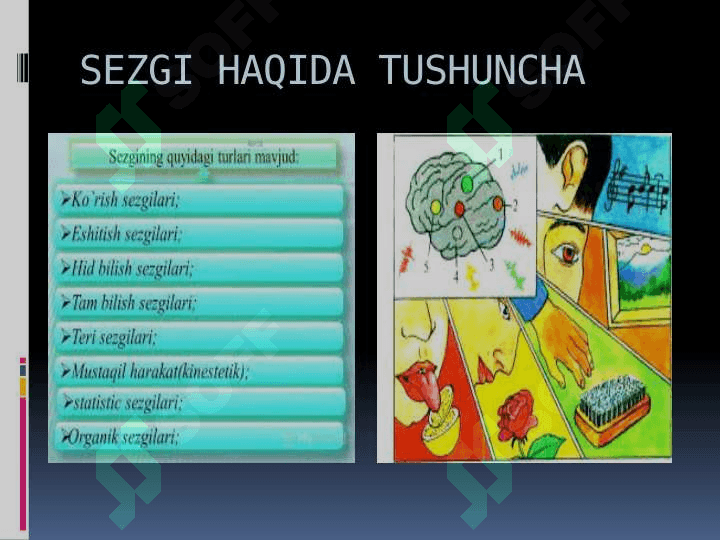 SEZGI HAQIDA TUSHUNCHA. 4