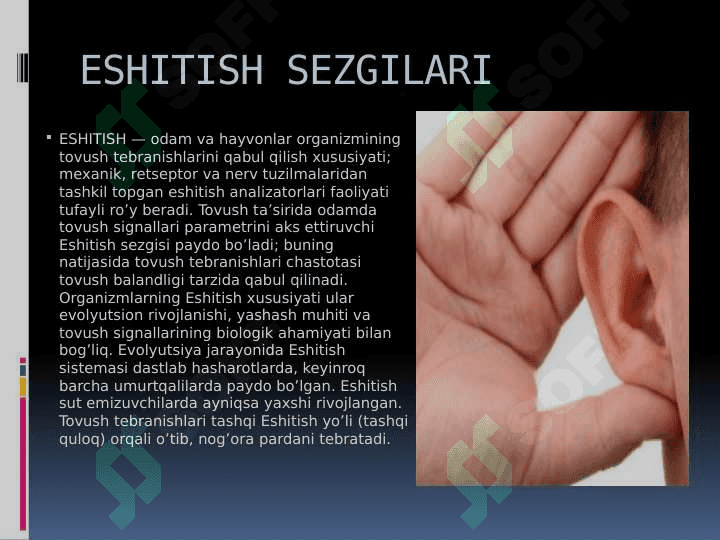 SEZGI HAQIDA TUSHUNCHA. 7