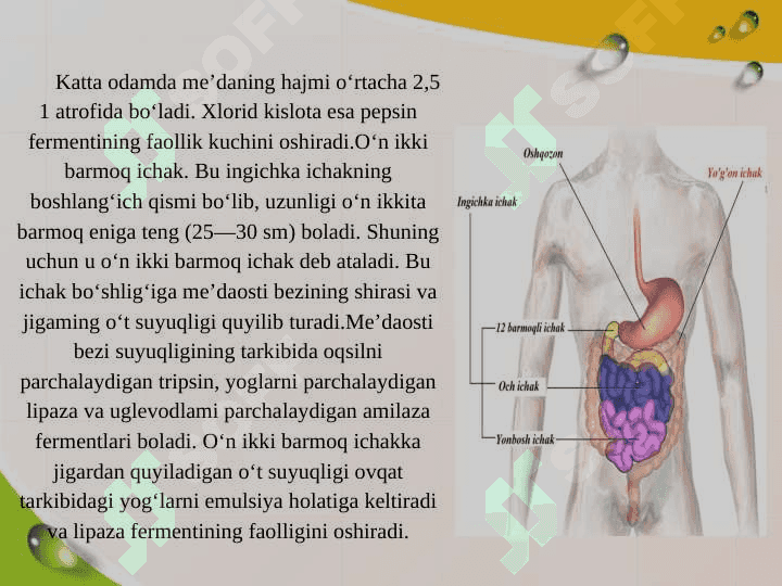 ODAMNING OVQAT HAZM QILISH SISTEMASI 4