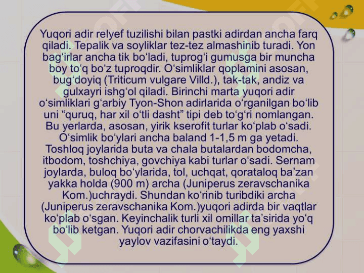 ADIR O’SIMLIKLARI. ADIR SHAROITIDAGI KSEROFIT O’SIMLIKLAR 7