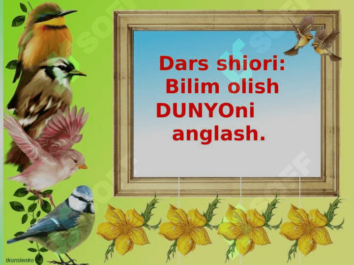 SLINDIR  KONUS 3