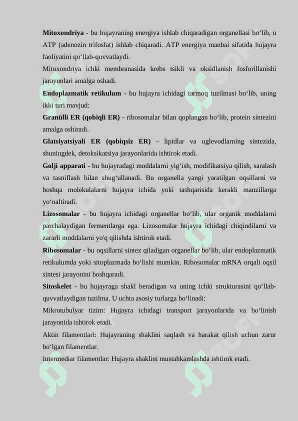 Mezikariod hujayrasi 4
