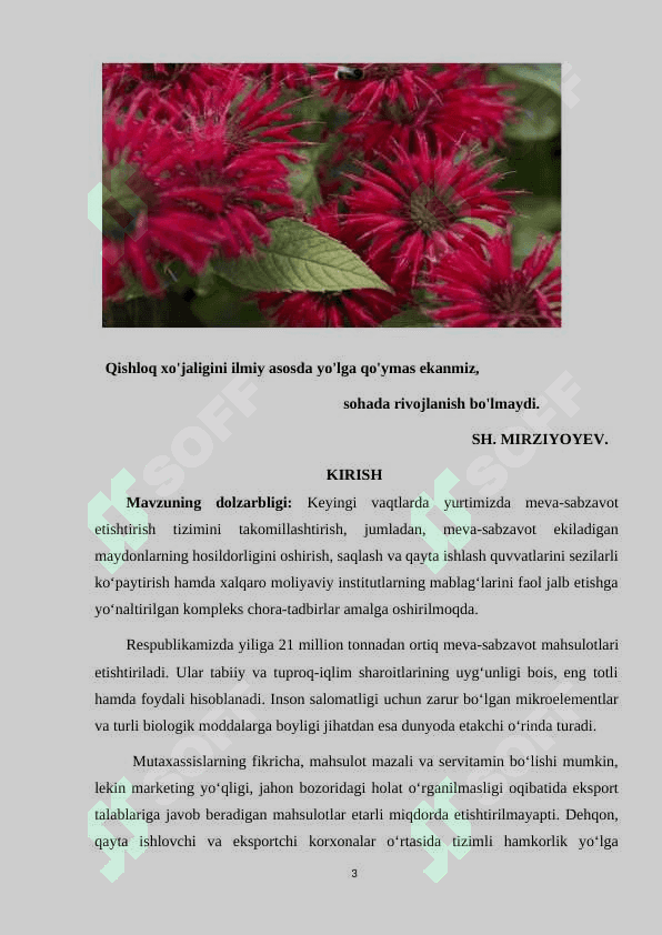 Kam tarqalgan, tarkibining qimmatliligi hamda dorivorligi bilan ajralib turuvchi sabzavot ekini monardo (lot. Monarda) ni O‘zbekiston sharoitiga introduksiya qilish 3