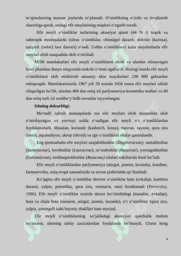 Surxondaryoning istiqbolli efir moyli o‘simliklari va ularning xalq xo‘jaligidagi ahamiyati 4