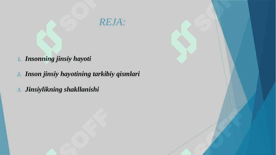 SHAXSNING JINSIY XULQ-ATVORI 2