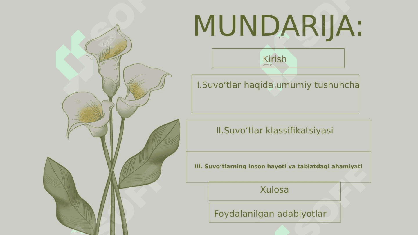 Suvo‘tlarning tabiat va inson hayotidagi o‘rni 2
