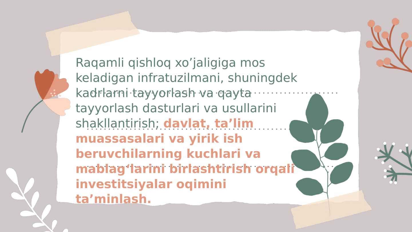 Raqamli qishloq xo’jaligiga mos keladigan infratuzilmani, shuningdek kadrlarni tayyorlash va qayta tayyorlash dasturlari va usullarini shakllantirish