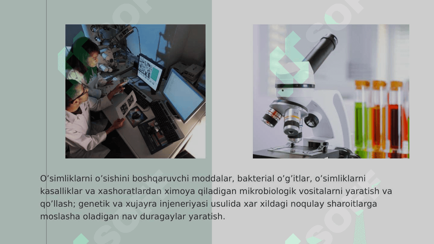 Biotexnalogiyaning ekologik aspektlari 5