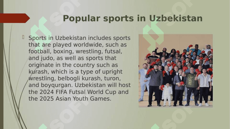 Popular sport in my country 2