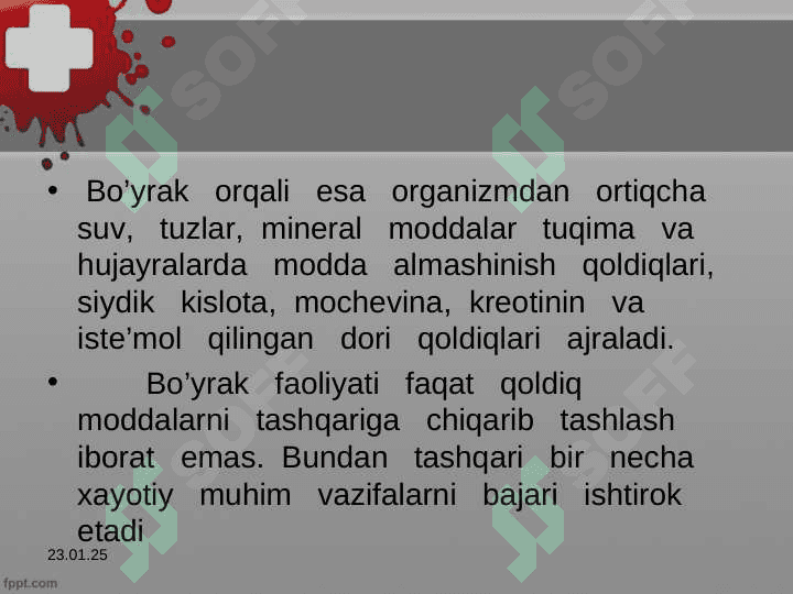 Ayiruv organlari 6