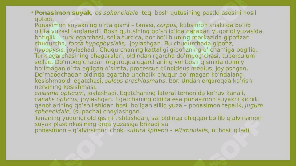 PONASIMON SUYAK,TUZILISHI,YOSHGA DOIR O’ZGARISHLARI 3