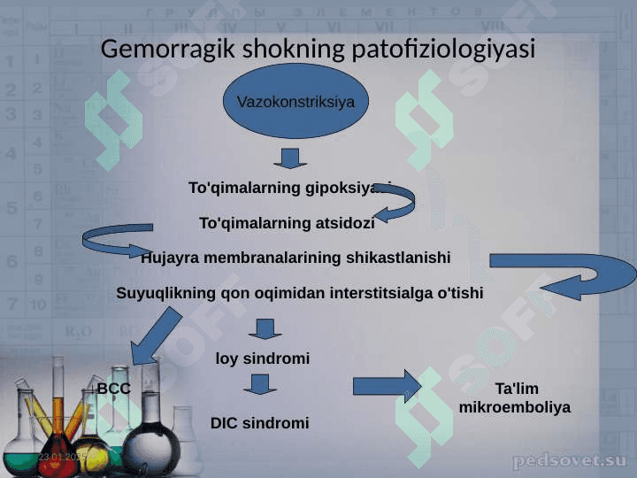GEMORRAGIK SHOK 8