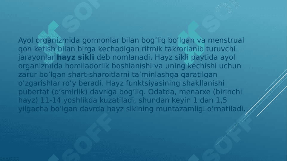 Normal hayz sikli 2