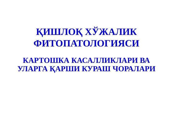 Kartoshkaga tushadigan barcha kasalliklar va davolash choralari