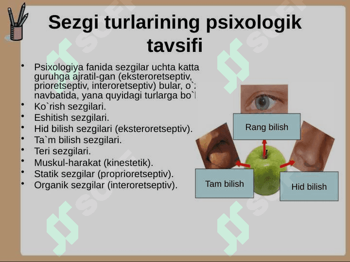 SEZGI TURLARI VA ULARNING  QONUNIYATLARI 8