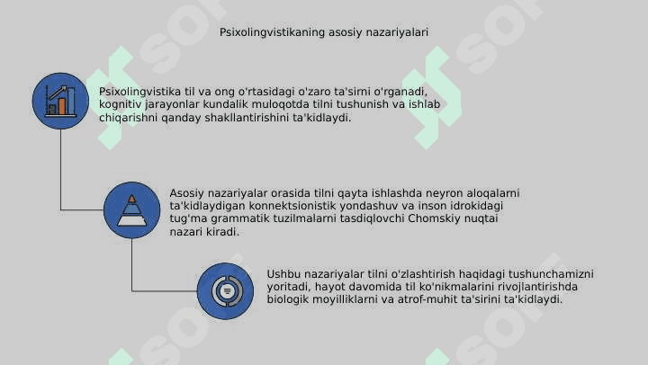 Psixolingvistikaning psixologik va lingvistik ahamiyati 5