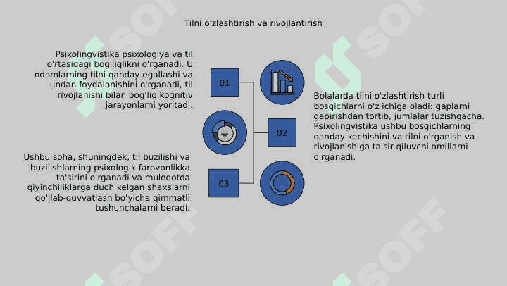 Psixolingvistikaning psixologik va lingvistik ahamiyati 8