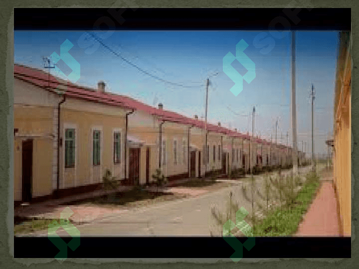 SARIOSIYO 8