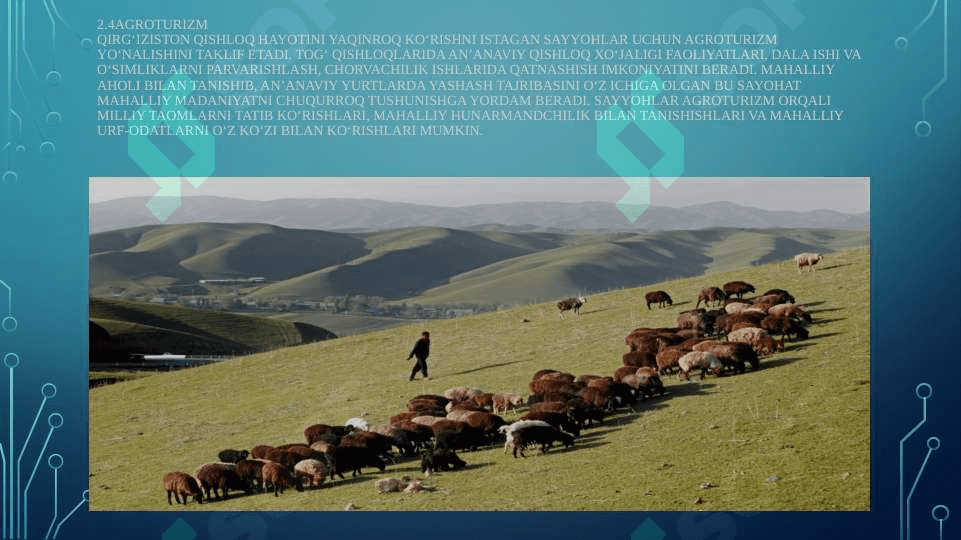 Turizm asosiy  Yo‘nalishlari va Imkoniyatlar (QIRG’IZISTON) 7