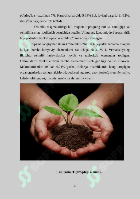 O`simliklarning mineral oziqlanishi 6