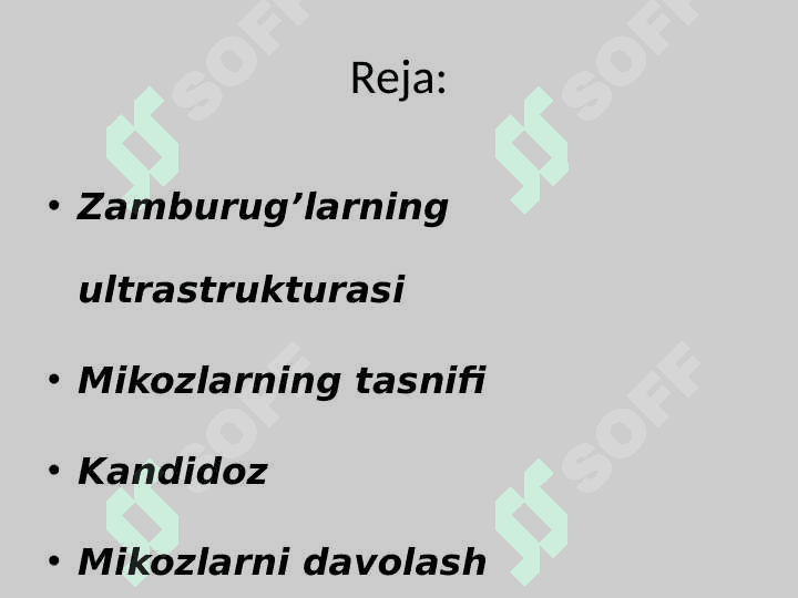 Zamburug’li kasallikning qo’zg’atuvchilari 2