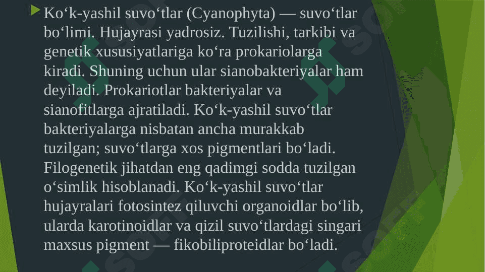 Ko’k yashil suv o’tlar bo‘limi 3