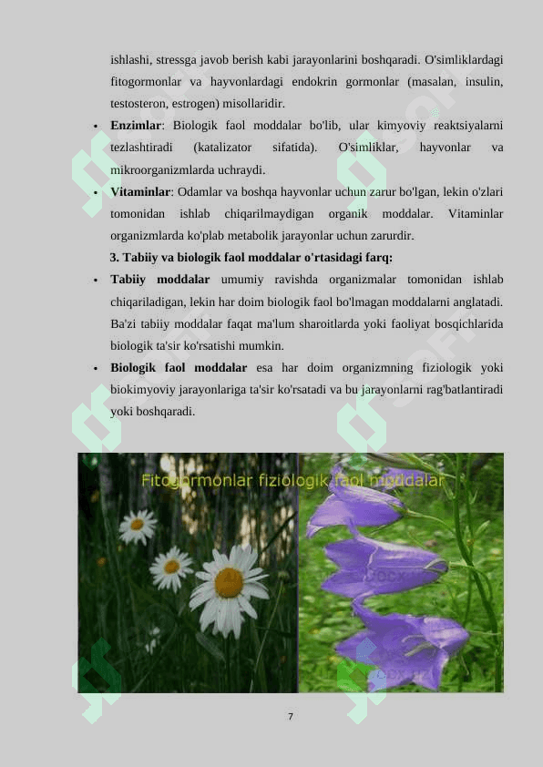 Fitogormonlar -fiziologik faol moddalar 7