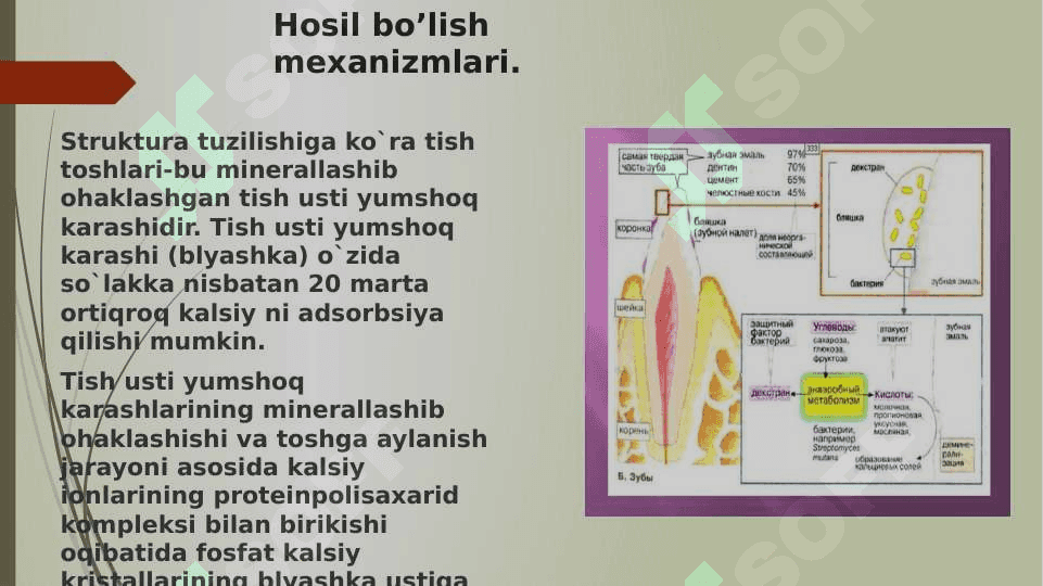 Tish yuzasida xosil bo’ladigan karashlar va toshlar 2