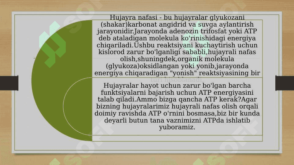Nafas olish fermentlari va ularning xossalari 4