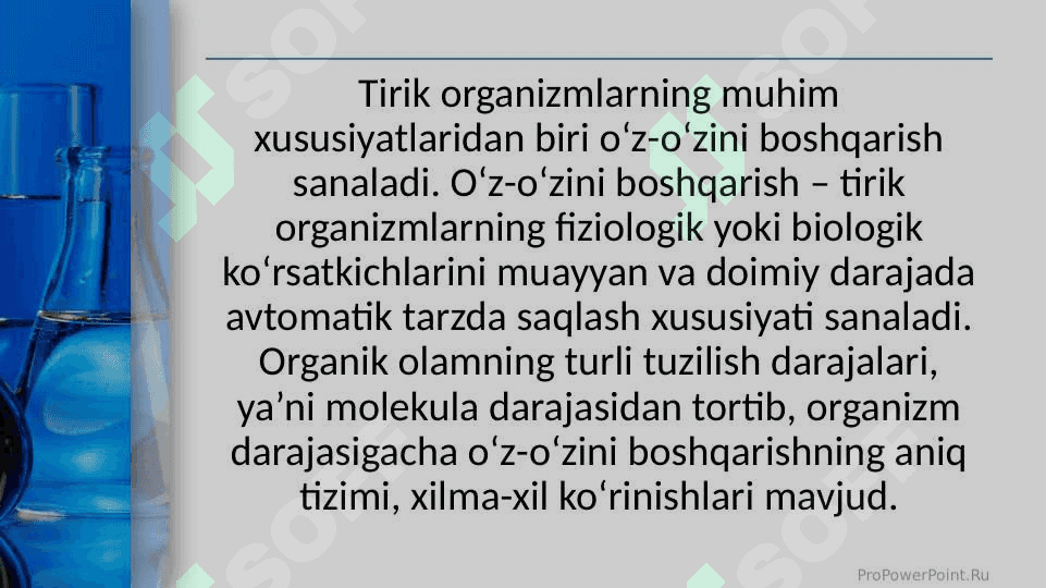 Umurtqasiz va umurtqali hayvonlarning nerv sistemasi 3
