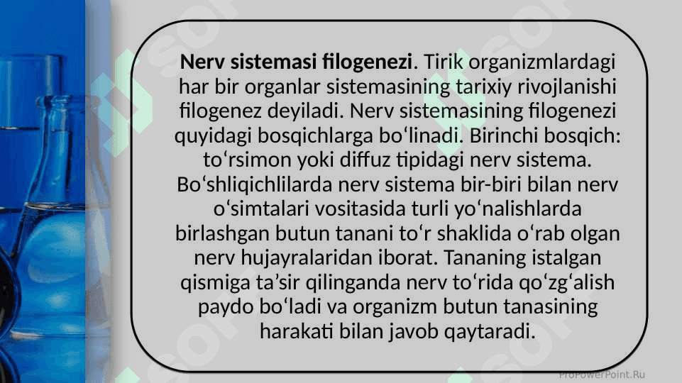 Umurtqasiz va umurtqali hayvonlarning nerv sistemasi 5