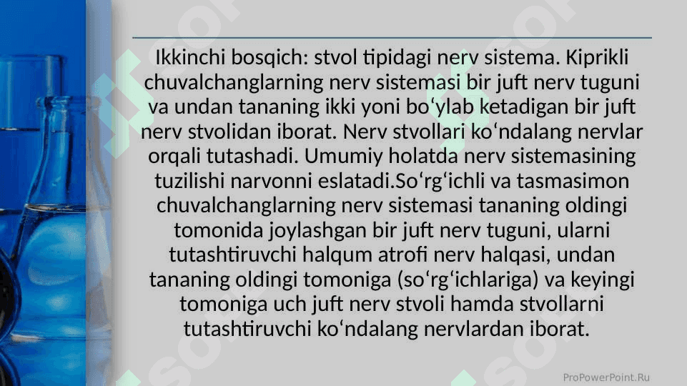 Umurtqasiz va umurtqali hayvonlarning nerv sistemasi 7