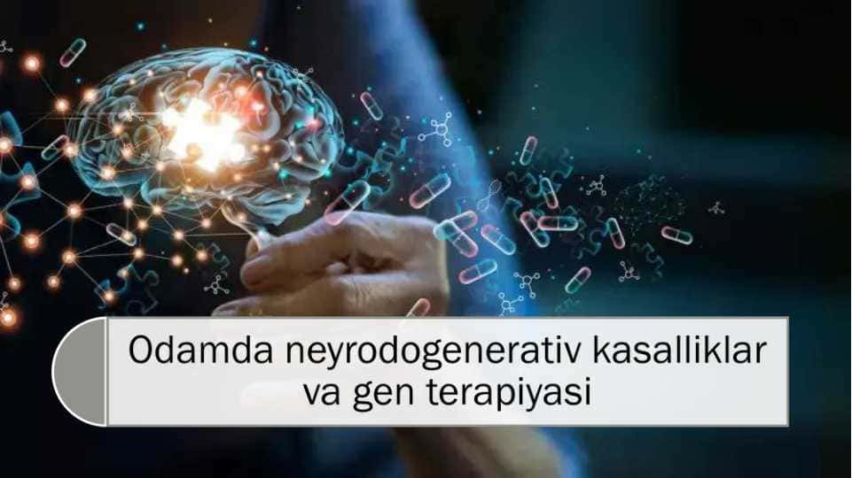 Odamda neyrodogenerativ kasalliklar
