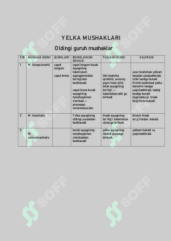 Qo'l mushaklari. 3