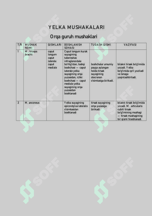 Qo'l mushaklari. 4