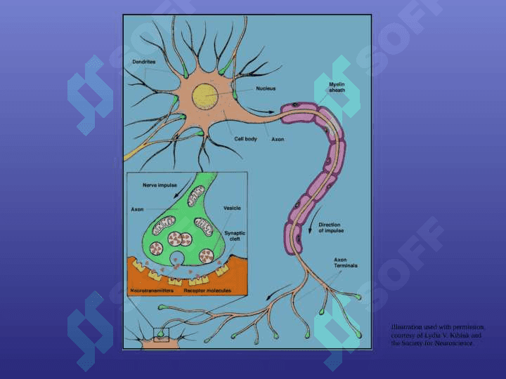 drug addition 3
