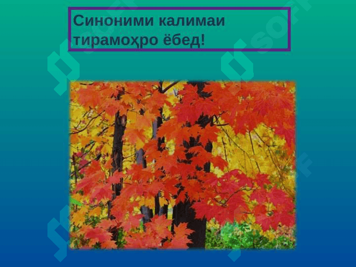 Синоним 6