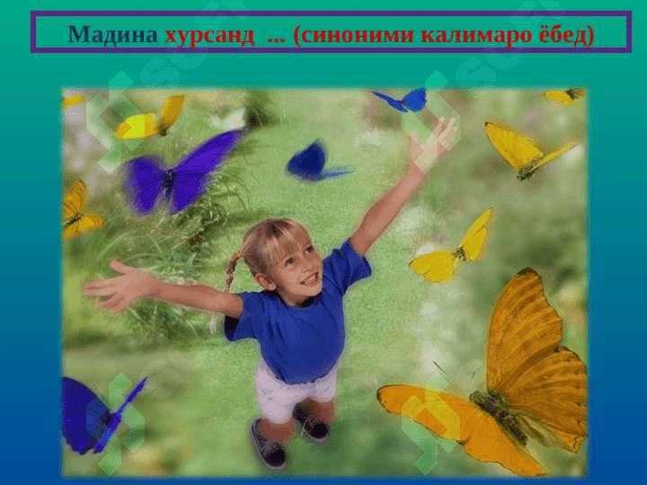 Синоним 8