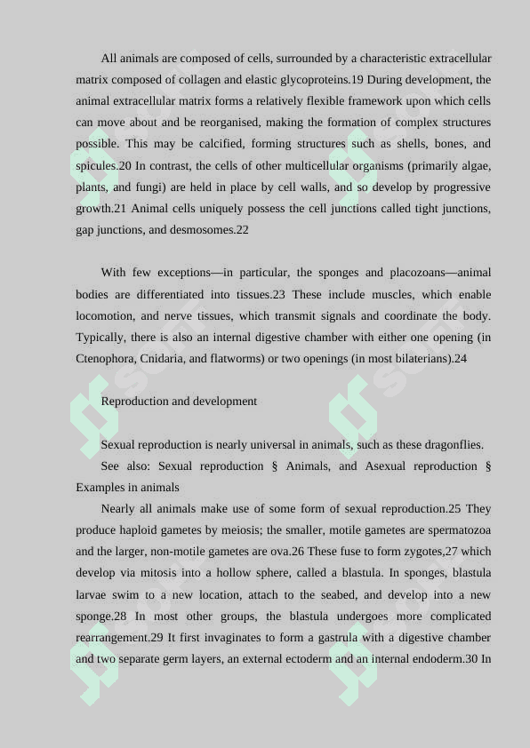 Environment of animals 4