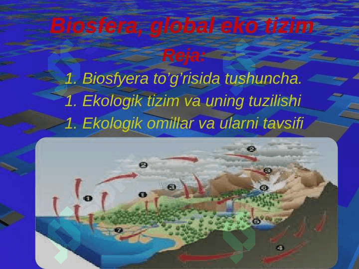 Biosfera, global eko tizim 2