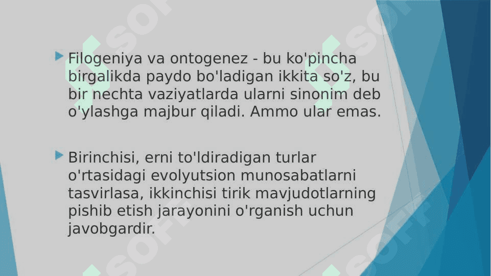 A’zolar sistemasi ontofilogenezi: nerv sistemasi, qon aylanish, endokrin tizim, ayiruv sistemasi. 2