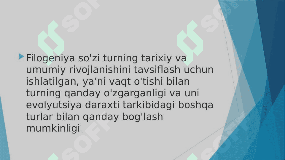 A’zolar sistemasi ontofilogenezi: nerv sistemasi, qon aylanish, endokrin tizim, ayiruv sistemasi. 3