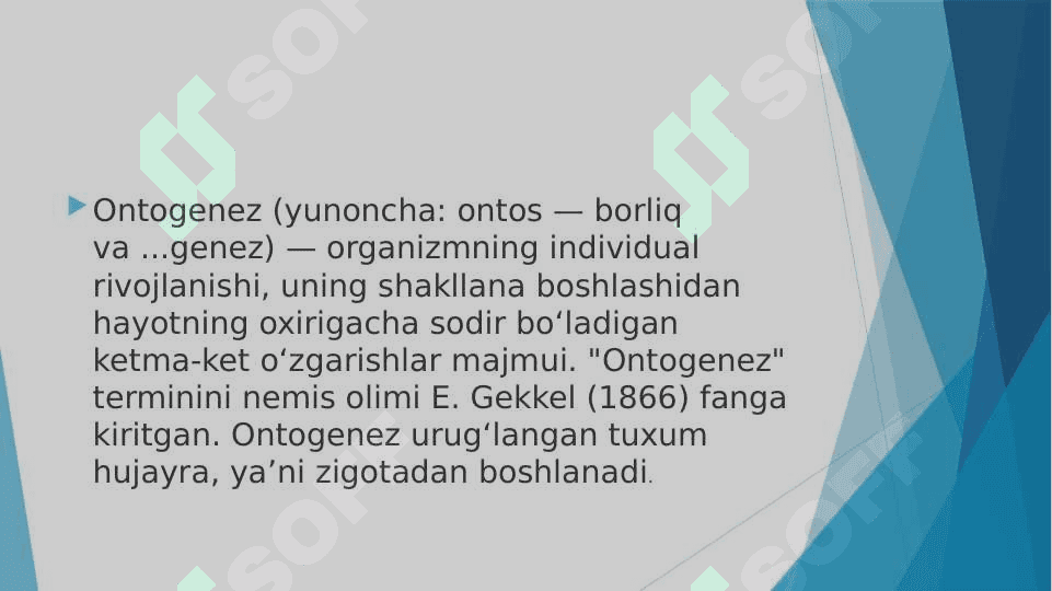 A’zolar sistemasi ontofilogenezi: nerv sistemasi, qon aylanish, endokrin tizim, ayiruv sistemasi. 4